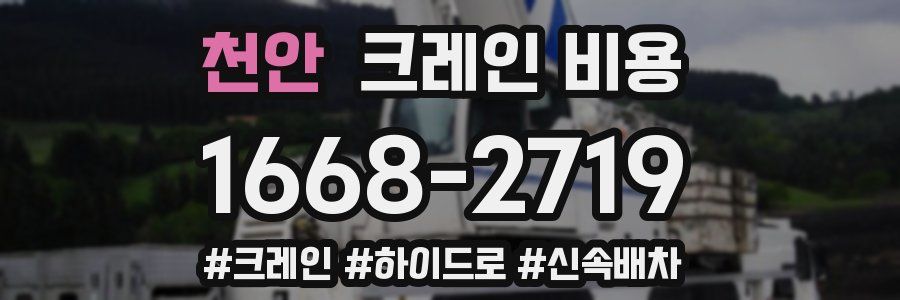 천안 크레인 비용