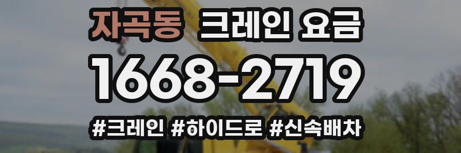 자곡동 크레인 요금