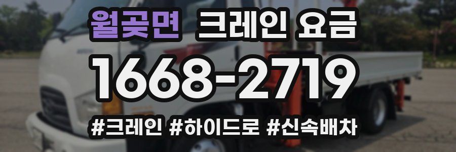 월곶면 크레인 요금