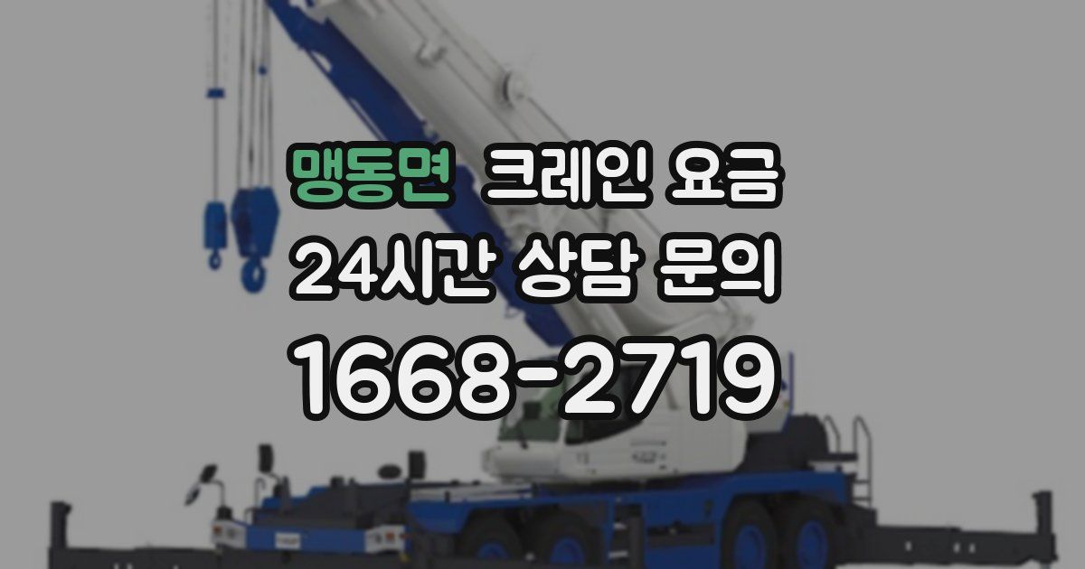 맹동면 크레인 요금