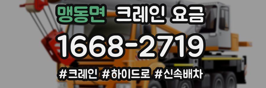 맹동면 크레인 요금