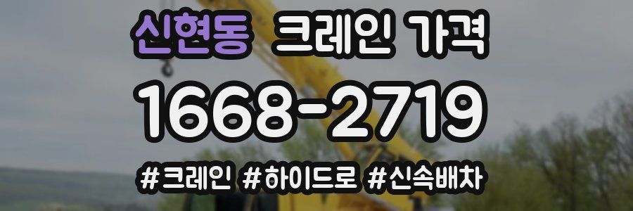 신현동 크레인 가격