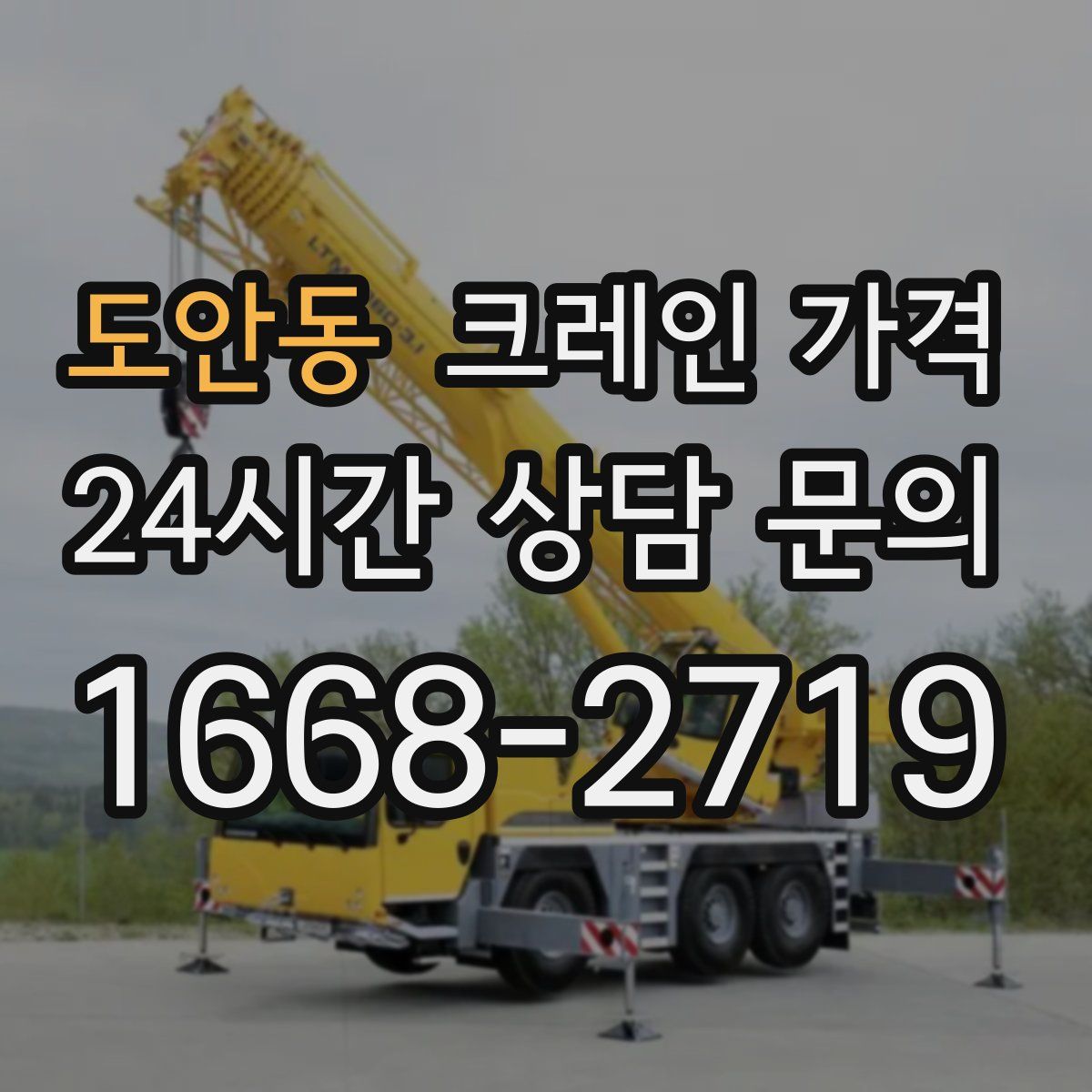 도안동 크레인 가격