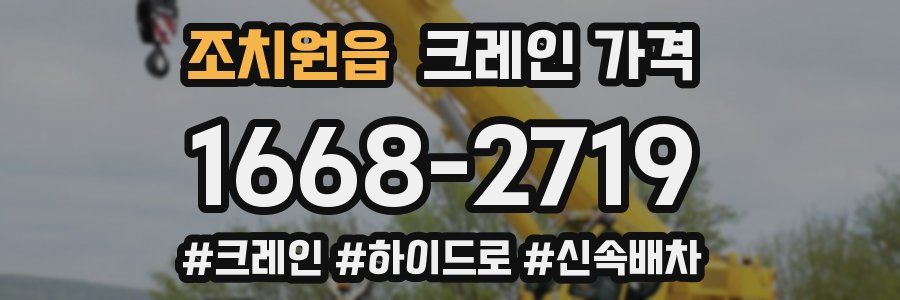 조치원읍 크레인 가격