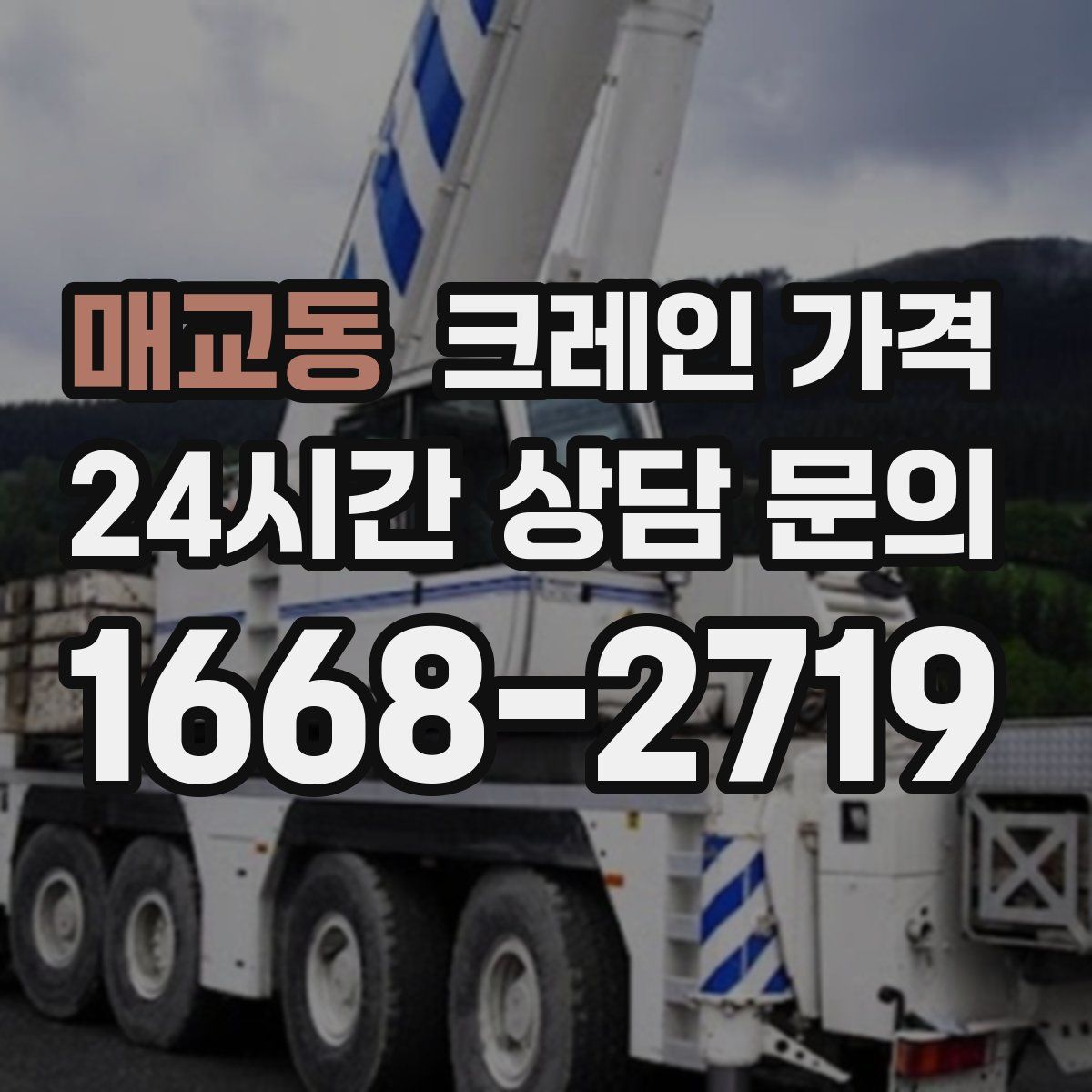 매교동 크레인 가격