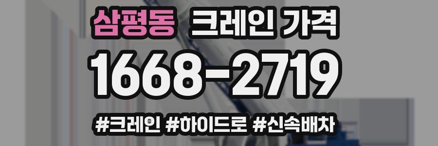 삼평동 크레인 가격