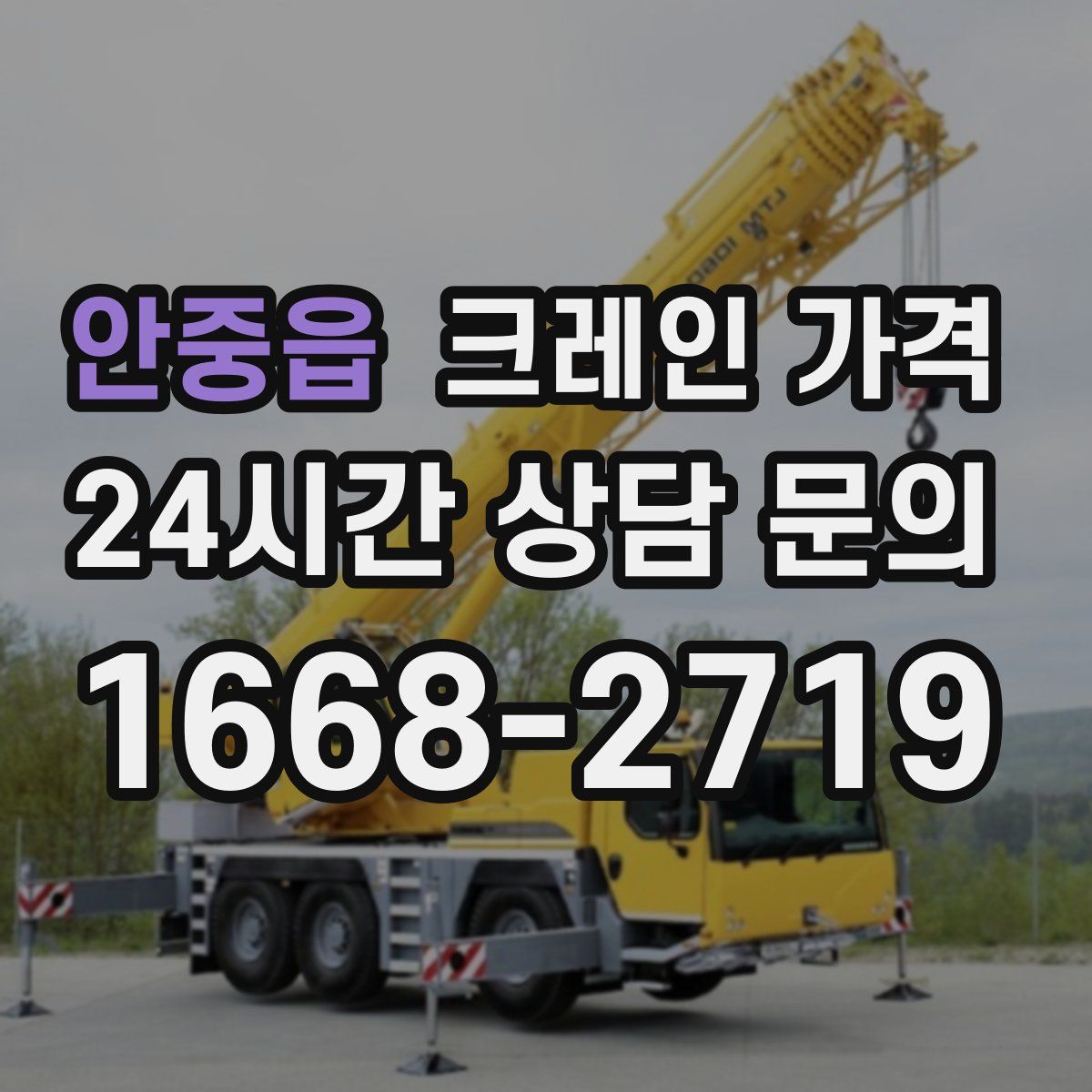 안중읍 크레인 가격