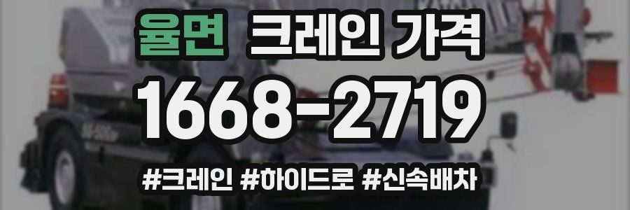 율면 크레인 가격