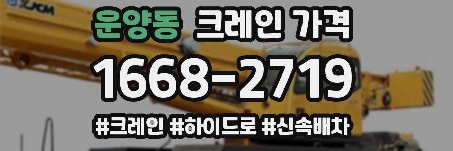 운양동 크레인 가격