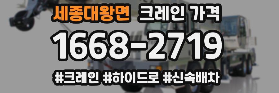 세종대왕면 크레인 가격