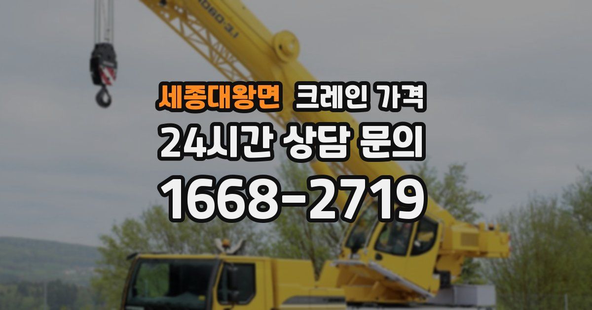세종대왕면 크레인 가격