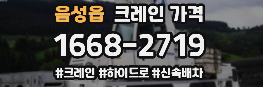 음성읍 크레인 가격