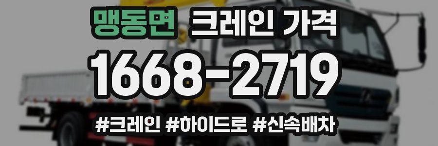 맹동면 크레인 가격
