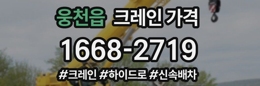 웅천읍 크레인 가격