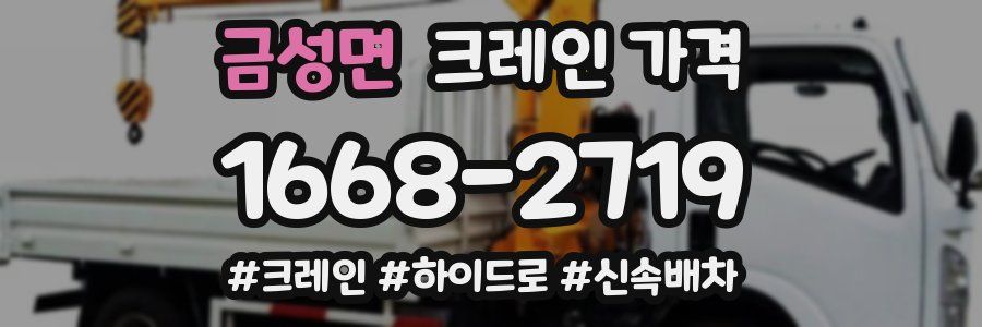 금성면 크레인 가격