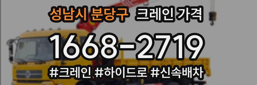 성남시 분당구 크레인 가격