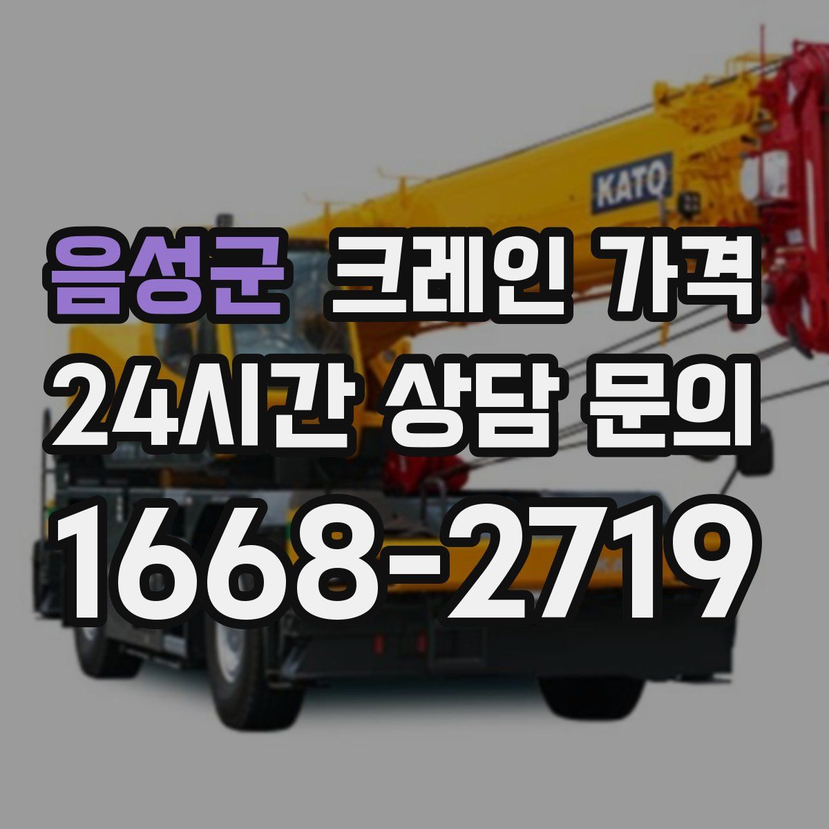 음성군 크레인 가격
