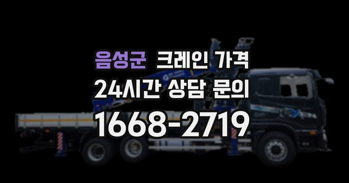 음성군 크레인 가격