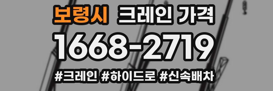 보령시 크레인 가격