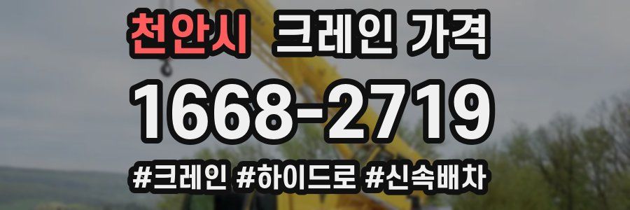 천안시 크레인 가격
