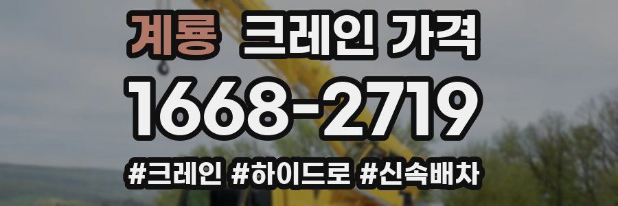 계룡 크레인 가격