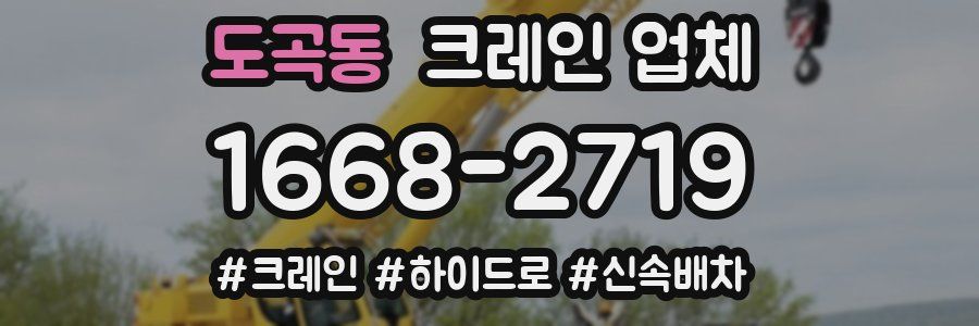 도곡동 크레인 업체