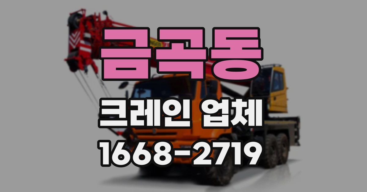 금곡동 크레인 업체