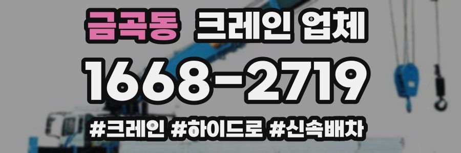 금곡동 크레인 업체