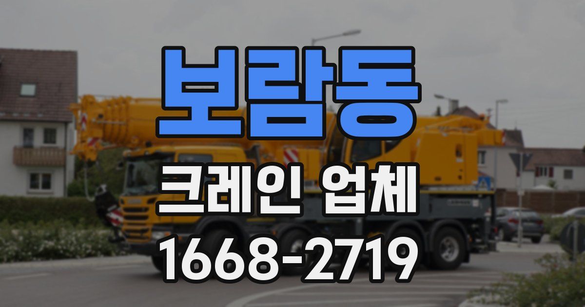 보람동 크레인 업체