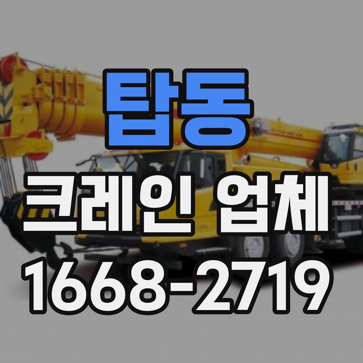탑동 크레인 업체