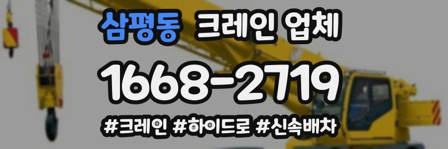 삼평동 크레인 업체
