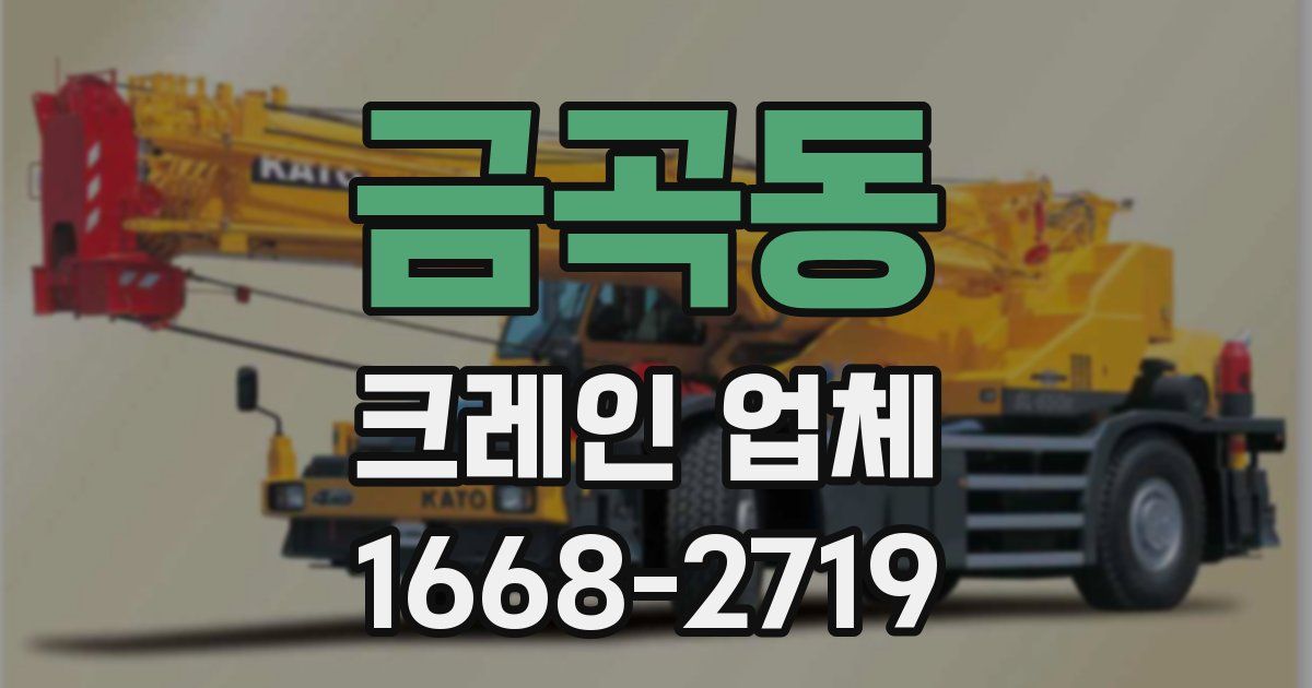 금곡동 크레인 업체