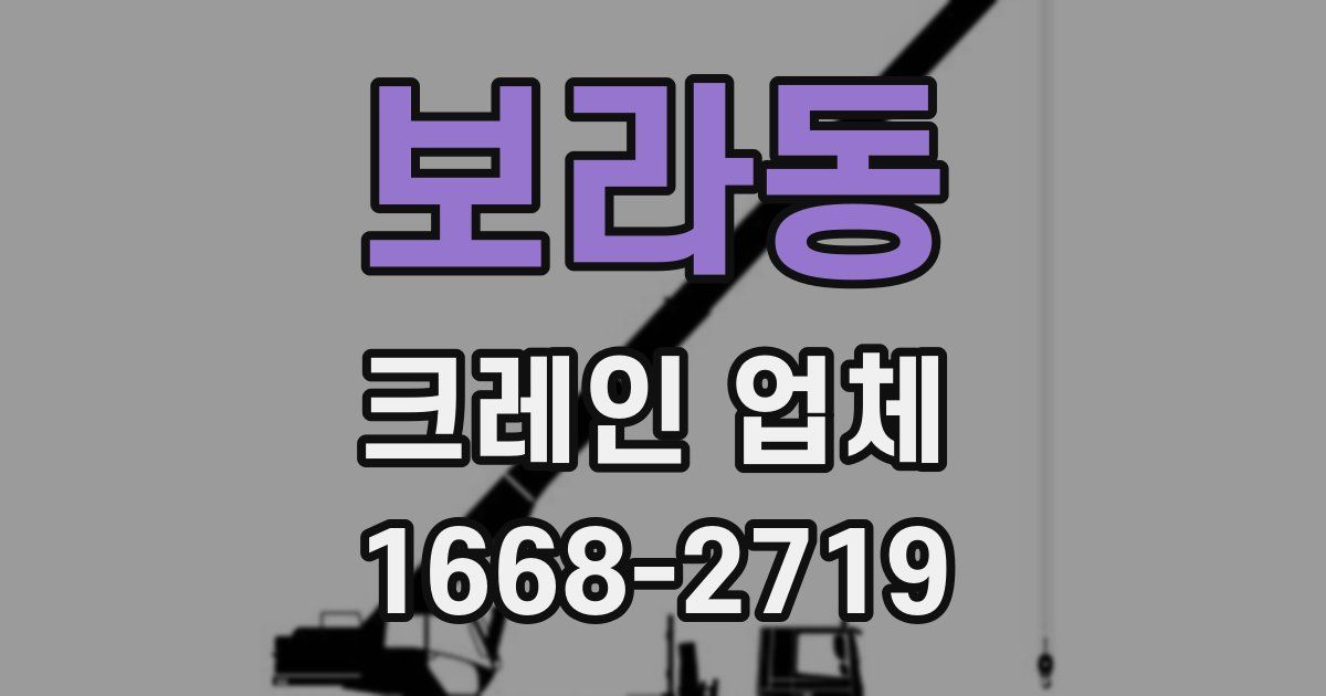 보라동 크레인 업체