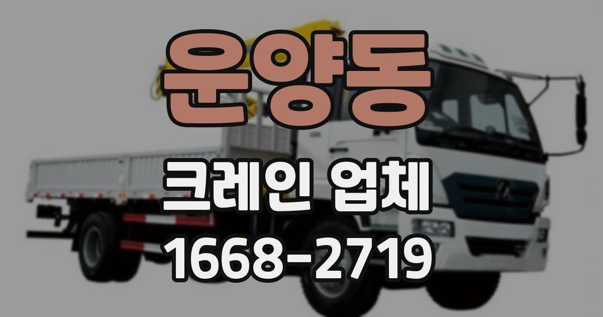 운양동 크레인 업체