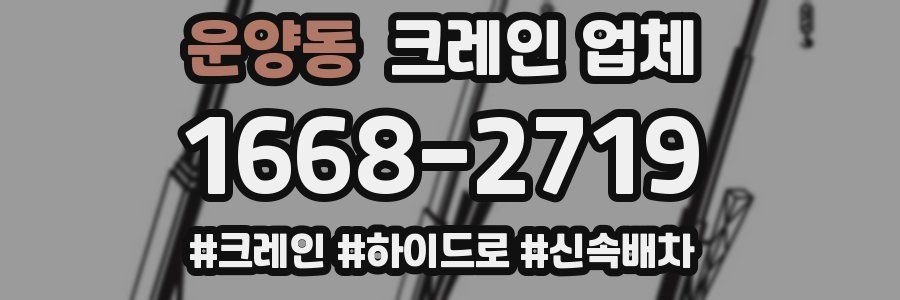 운양동 크레인 업체