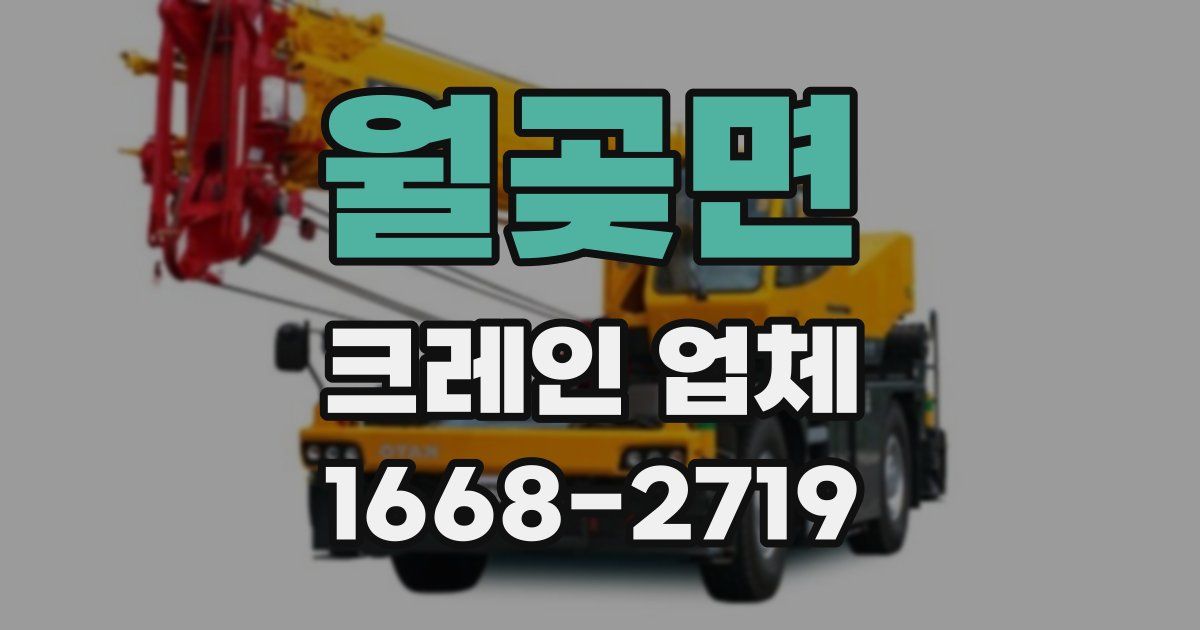 월곶면 크레인 업체