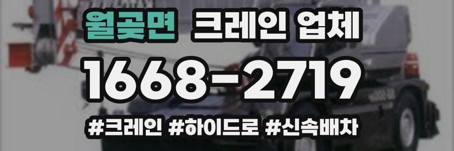 월곶면 크레인 업체