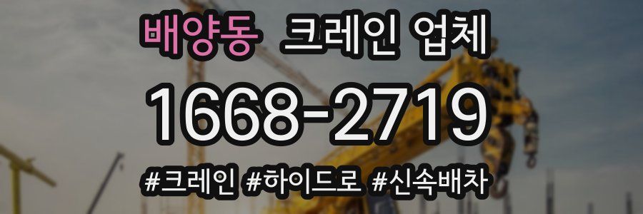 배양동 크레인 업체