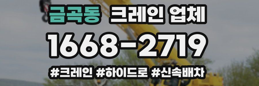 금곡동 크레인 업체