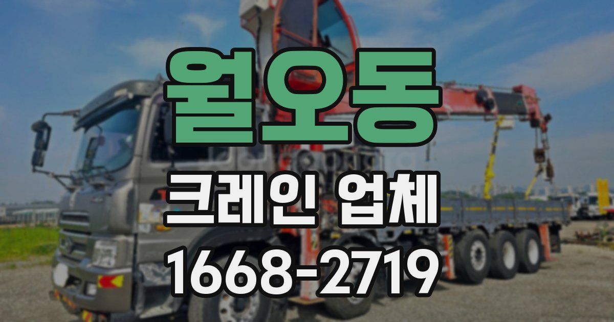 월오동 크레인 업체