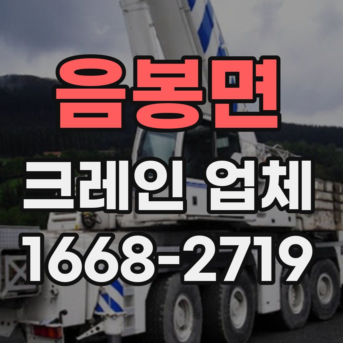 음봉면 크레인 업체