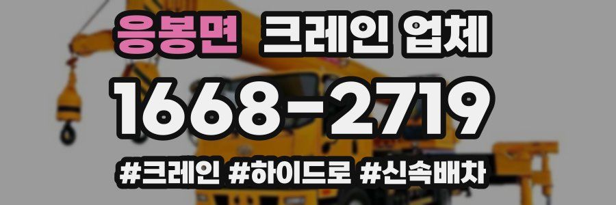 응봉면 크레인 업체