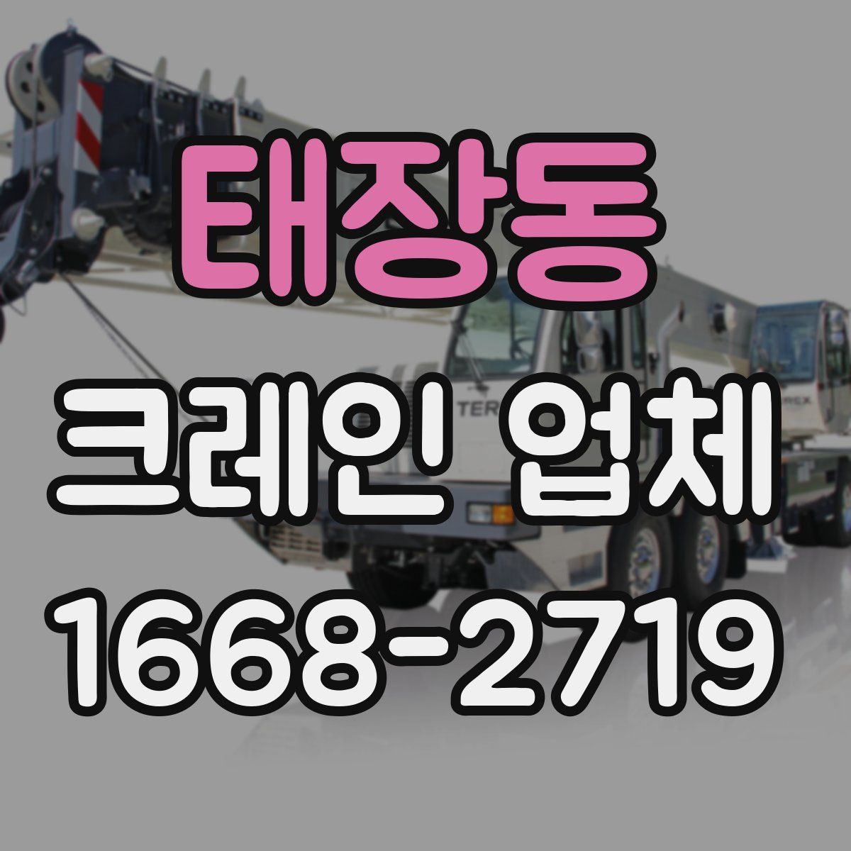 태장동 크레인 업체