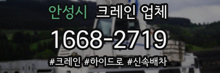 안성시 크레인 업체