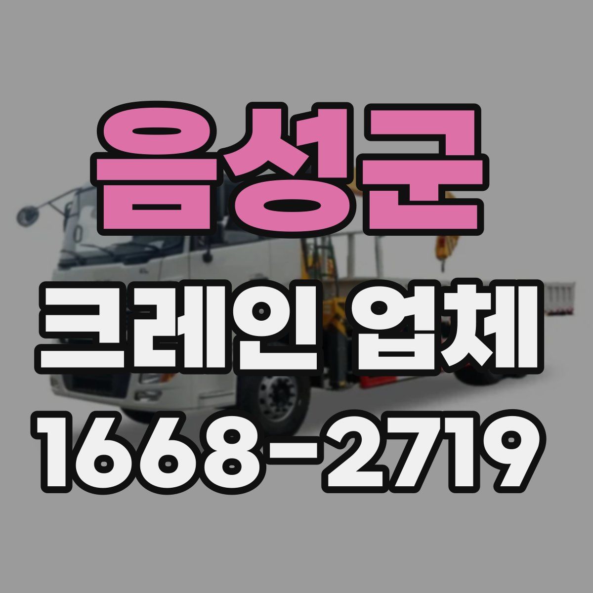음성군 크레인 업체