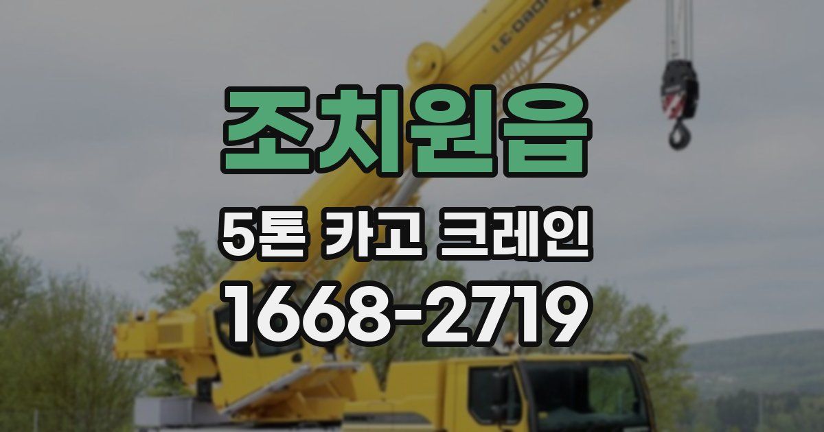 조치원읍 5톤 카고 크레인