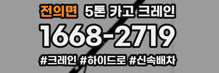 전의면 5톤 카고 크레인
