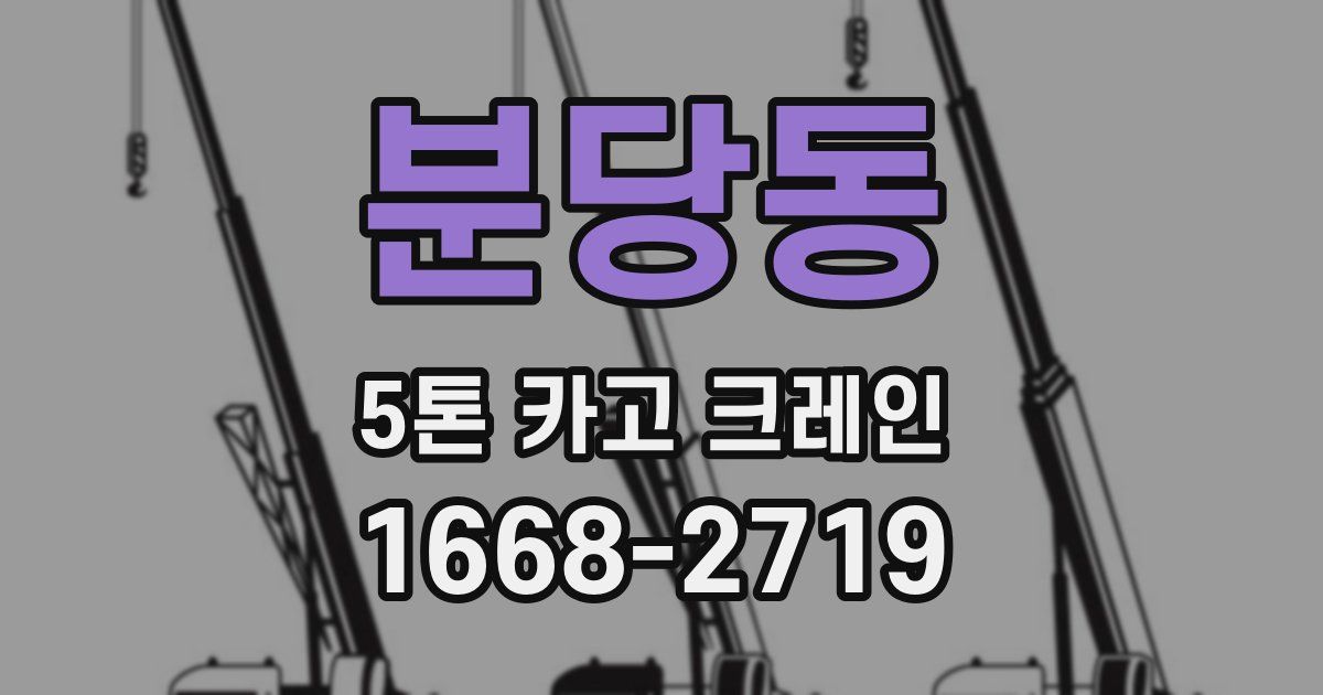 분당동 5톤 카고 크레인