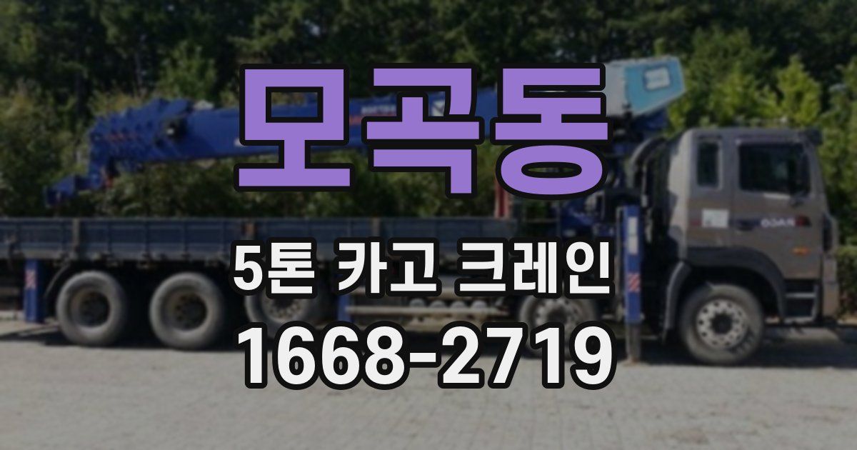 모곡동 5톤 카고 크레인