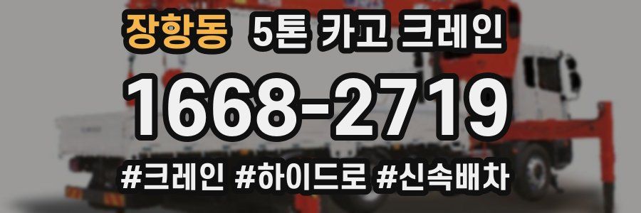 장항동 5톤 카고 크레인